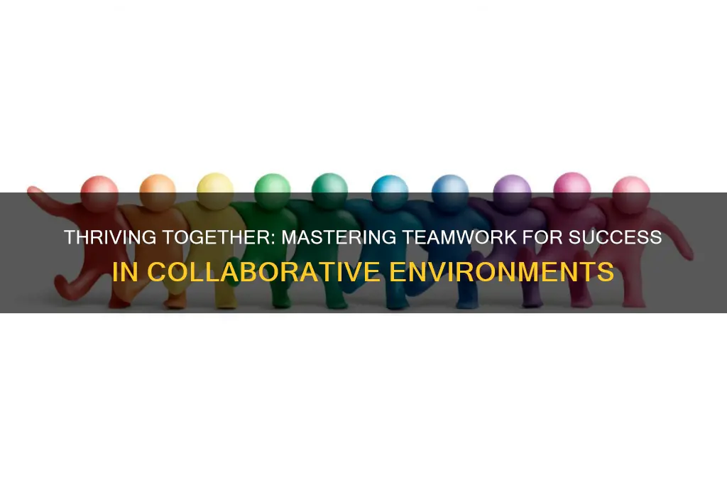 do you thrive in a team work environment