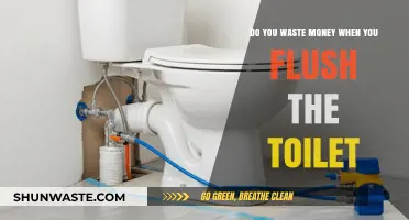 Flushing Money Down the Drain? The Hidden Cost of Toilet Flushes
