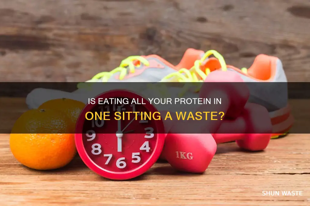 do you waste protein if eaten all at one sitting