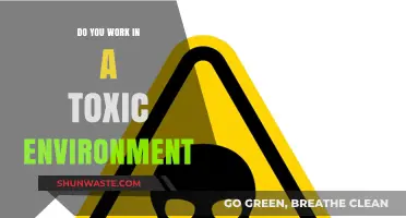 Toxic Workplace: Signs, Impact, and Strategies to Reclaim Your Sanity