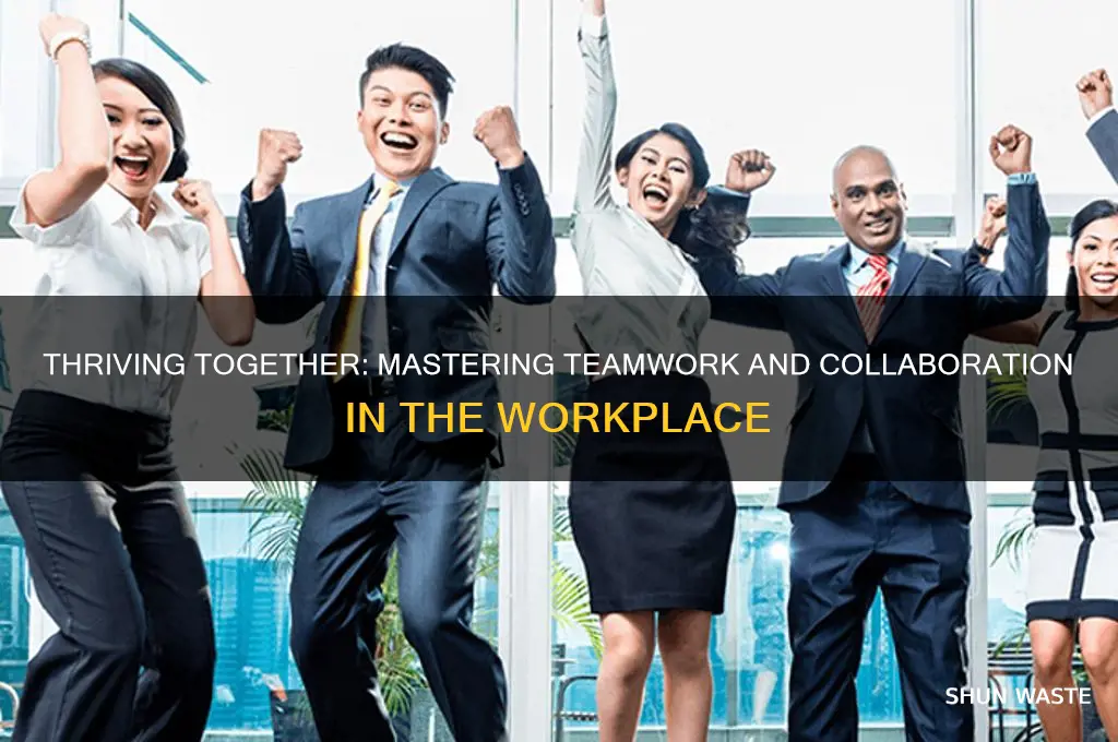 do you work well in a team environment