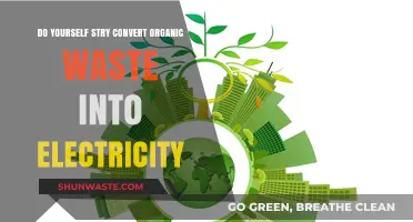 Transform Organic Waste into Electricity: A DIY Sustainable Energy Guide
