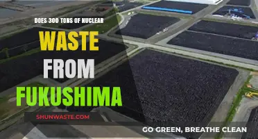 Fukushima's Nuclear Waste: Unraveling the Impact of 300 Tons