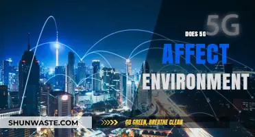 Exploring 5G's Environmental Impact: Sustainability Concerns and Solutions