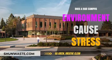 Campus Environment Impact: How Poor Conditions Fuel Student Stress Levels