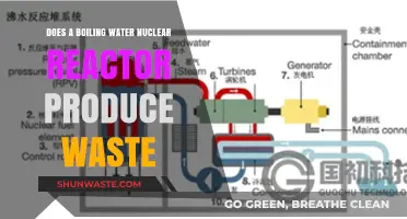 Boiling Water Reactors: Waste Production and Environmental Impact Explained