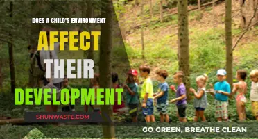 How a Child's Environment Shapes Their Growth and Future Success