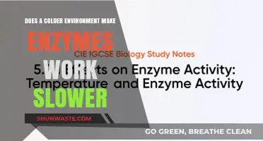 Cold Temperatures and Enzyme Activity: Unraveling the Slow-Down Effect
