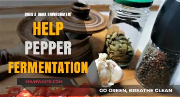 Dark Fermentation: Does Darkness Enhance Pepper Fermentation Flavor?