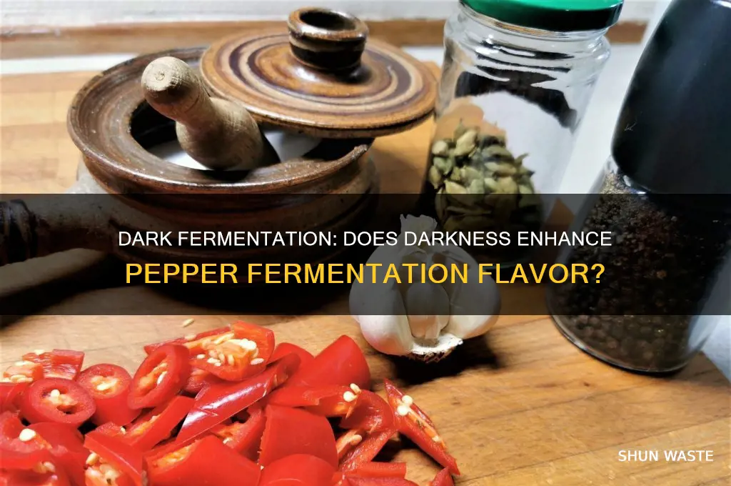 does a dark environment help pepper fermentation