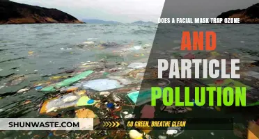 Face Masks: Ozone and Particle Pollution Trapped?
