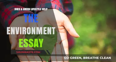 Green Living: How Sustainable Choices Impact Our Environment Effectively