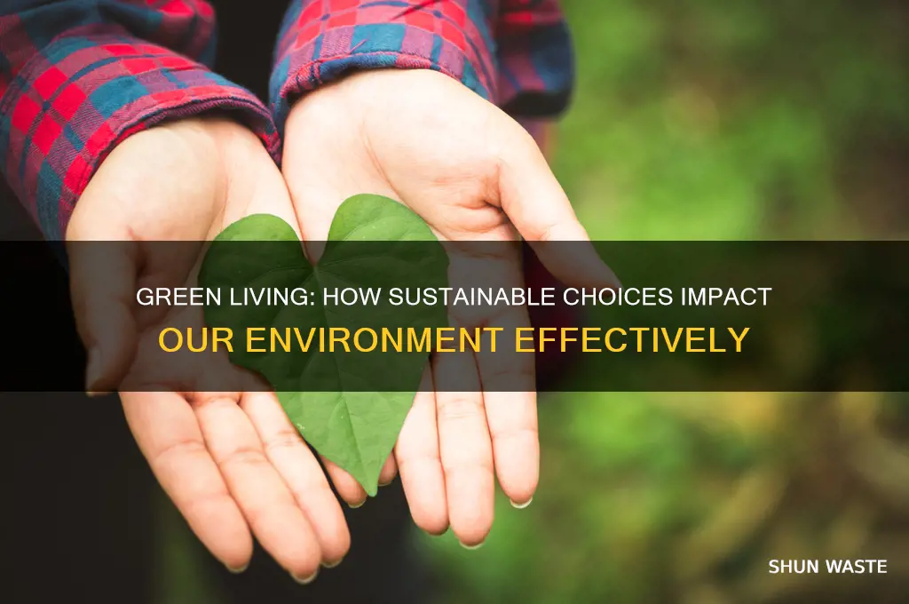 does a green lifestyle help the environment essay