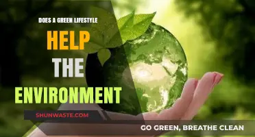 Green Living: How Sustainable Choices Impact Our Environment Positively