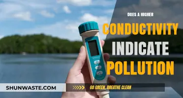 Conductivity Testing: Pollution's Unseen Indicator