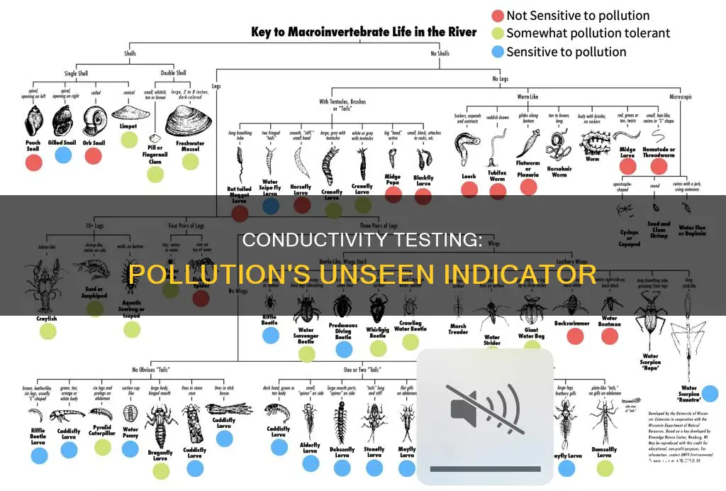 does a higher conductivity indicate pollution