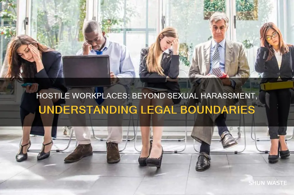 does a hostile work environment have to be sexual