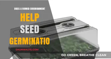 Humidity's Role in Seed Germination: Benefits and Optimal Conditions