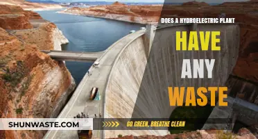 Hydroelectric Plants and Waste: Uncovering Environmental Impacts and Sustainability