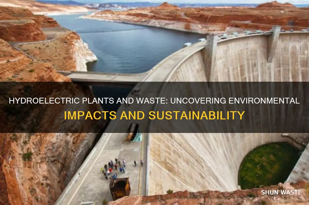 does a hydroelectric plant have any waste