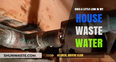 Small Leaks, Big Waste: How Household Drips Impact Water Usage
