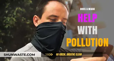 Anti-Pollution Masks: Do They Really Work?
