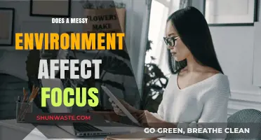 Messy Spaces, Scattered Minds: How Clutter Impacts Concentration and Focus