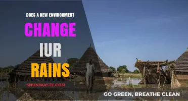 Can a New Environment Alter Our Rainfall Patterns?