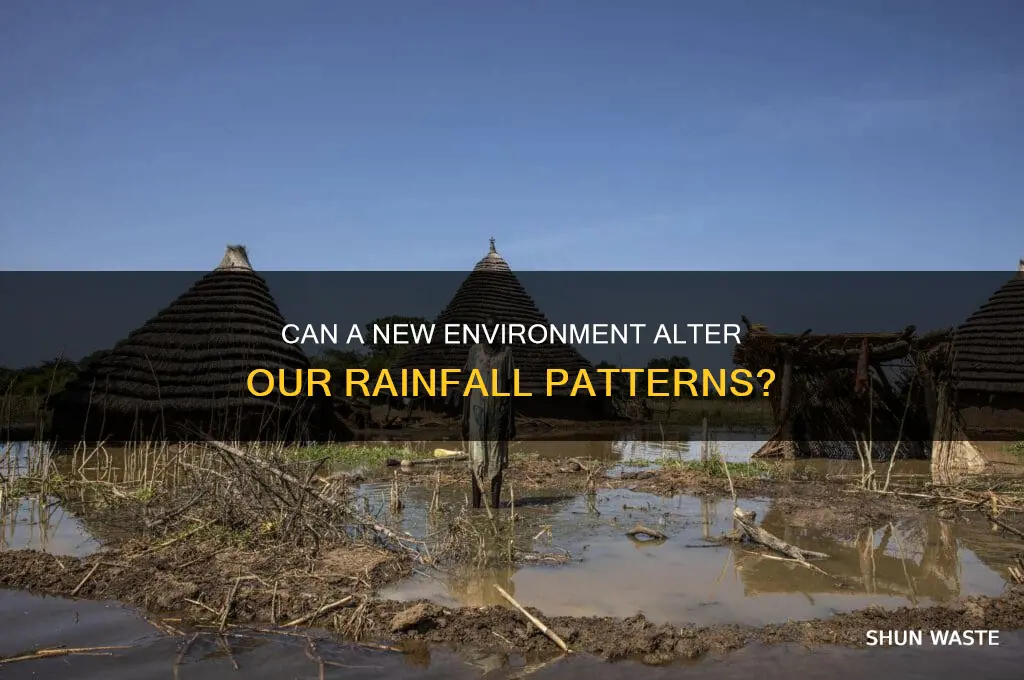 does a new environment change iur rains