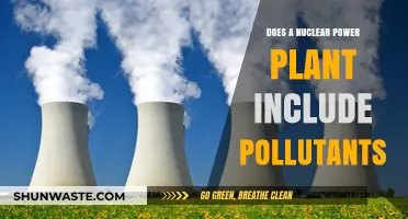 Nuclear Power Plants: Pollutants or Clean Energy?