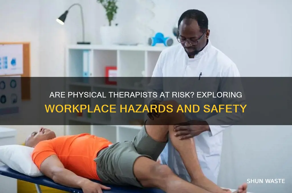 does a physical therapist work in a dangerous environment