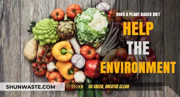 Plant-Based Diets: A Sustainable Solution for Environmental Conservation?