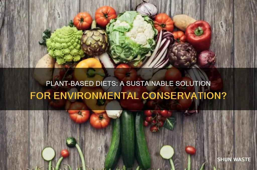does a plant based diet help the environment