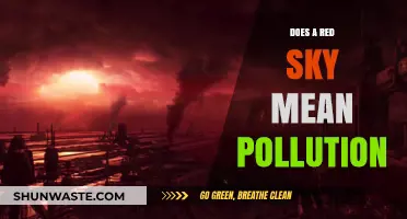 Red Sky: Pollution or Natural Wonder?