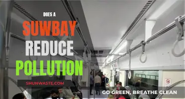 How Subways Reduce Pollution and Improve City Life