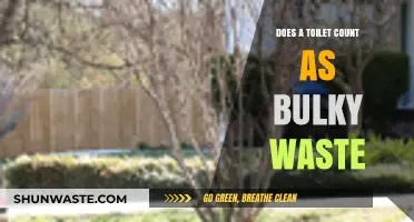 Is Your Old Toilet Bulky Waste? Disposal Rules Explained