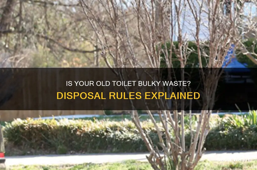 does a toilet count as bulky waste