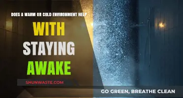Warm vs. Cold: Which Environment Boosts Alertness and Focus?
