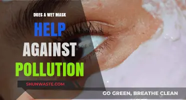Wet Masks: Effective Pollution Protection?