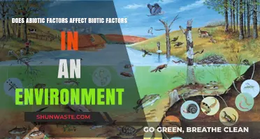 How Abiotic Factors Shape Biotic Interactions in Ecosystems