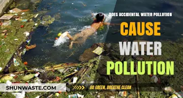 Accidental Water Pollution: A Hidden Cause of Environmental Degradation