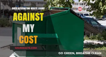 Accounting Waste and Costs: Understanding Its Impact on Your Budget