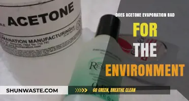 Is Acetone Evaporation Harming Our Environment? Key Insights Revealed