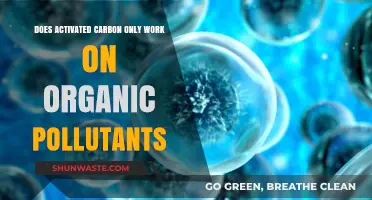Activated Carbon: Organic Pollutants and Beyond