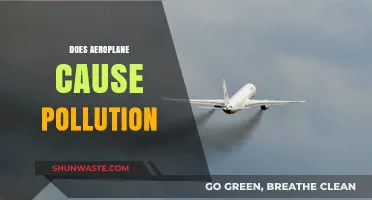 Air Travel's Environmental Impact: Unraveling the Plane's Pollution Mystery