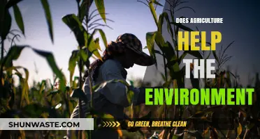 Agriculture's Environmental Impact: Sustainable Practices for a Greener Future
