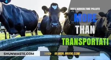 Agriculture vs Transportation: Who Pollutes More?