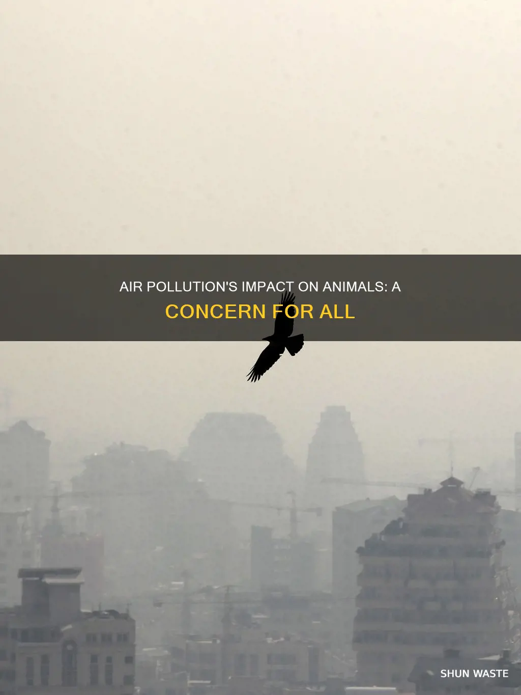 does air pollution affect animals