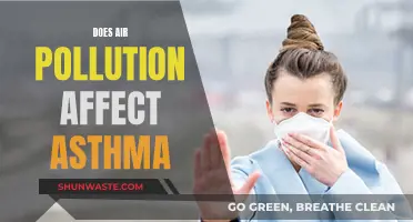 Air Pollution and Asthma: What's the Connection?