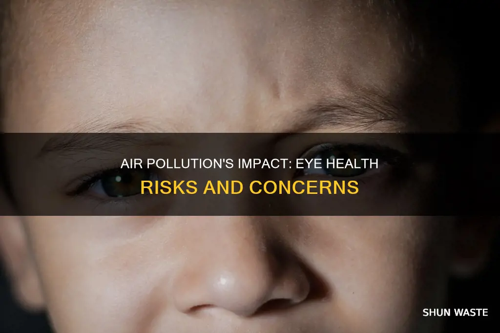 does air pollution affect eyes